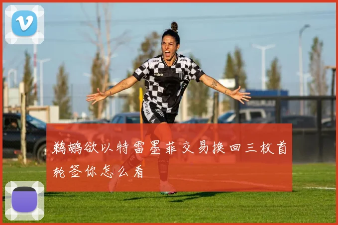 鹈鹕欲以特雷墨菲交易换回三枚首轮签你怎么看